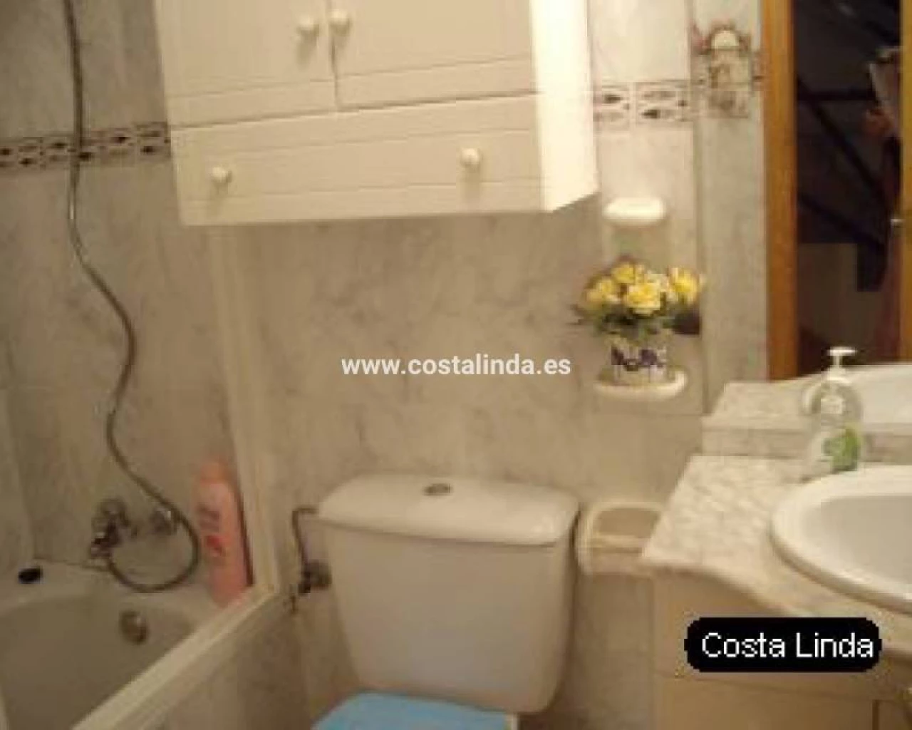 LAC 1237  | LAC 1237 
